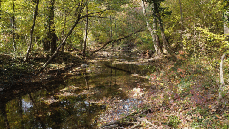 Pogled na reku Moravicu